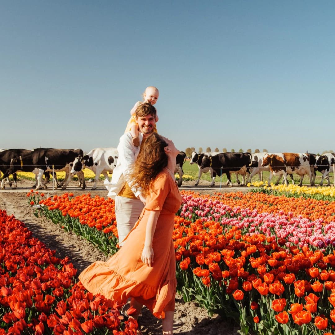 Photoshoot between the tulips in the Netherlands