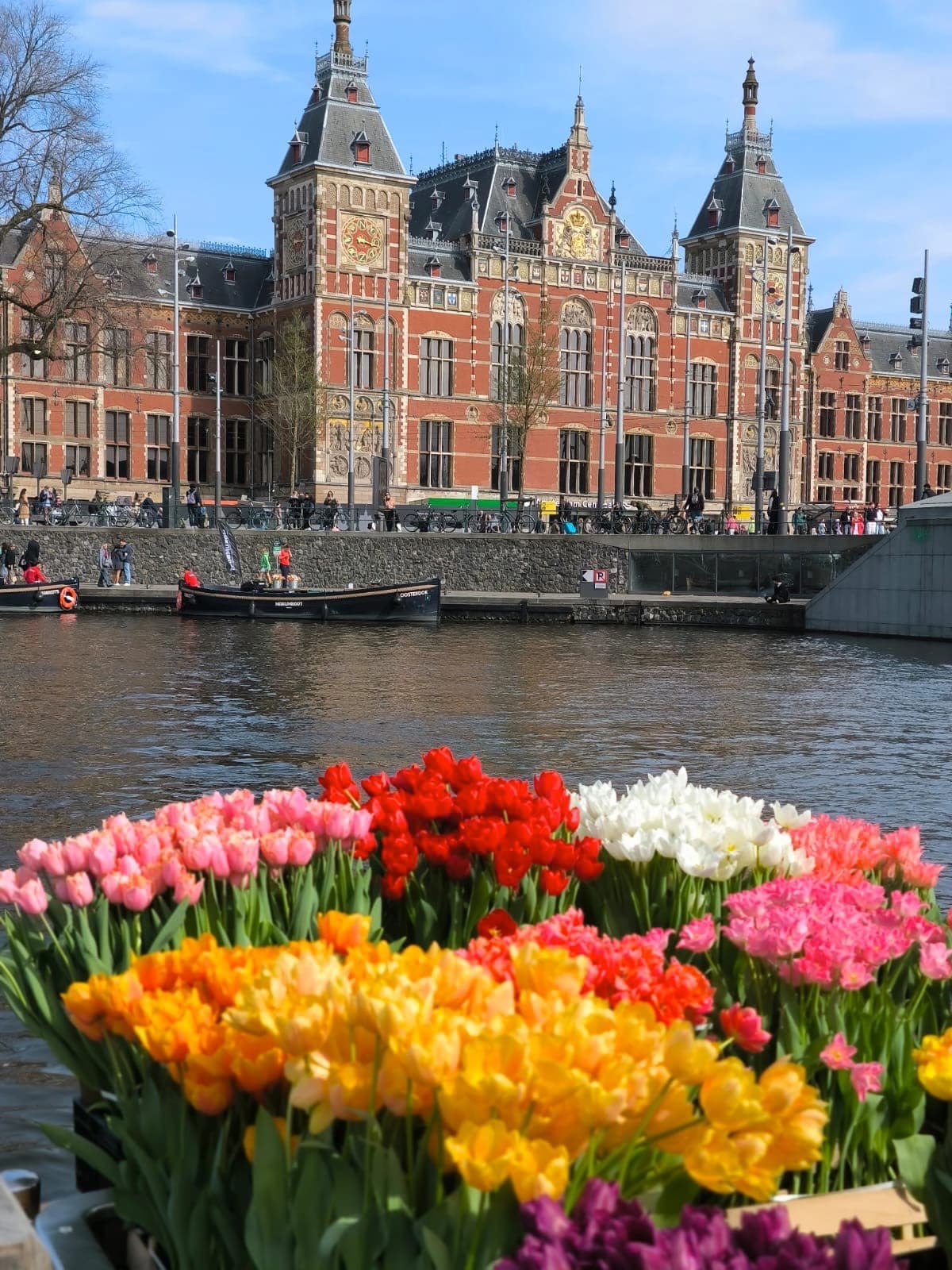 Tulips boat in Amsterdam