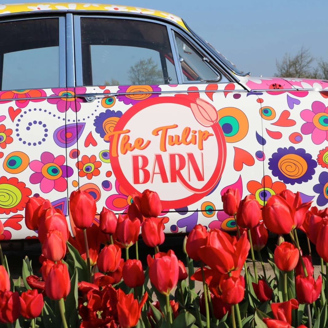 Tulip Barn in Hillegom