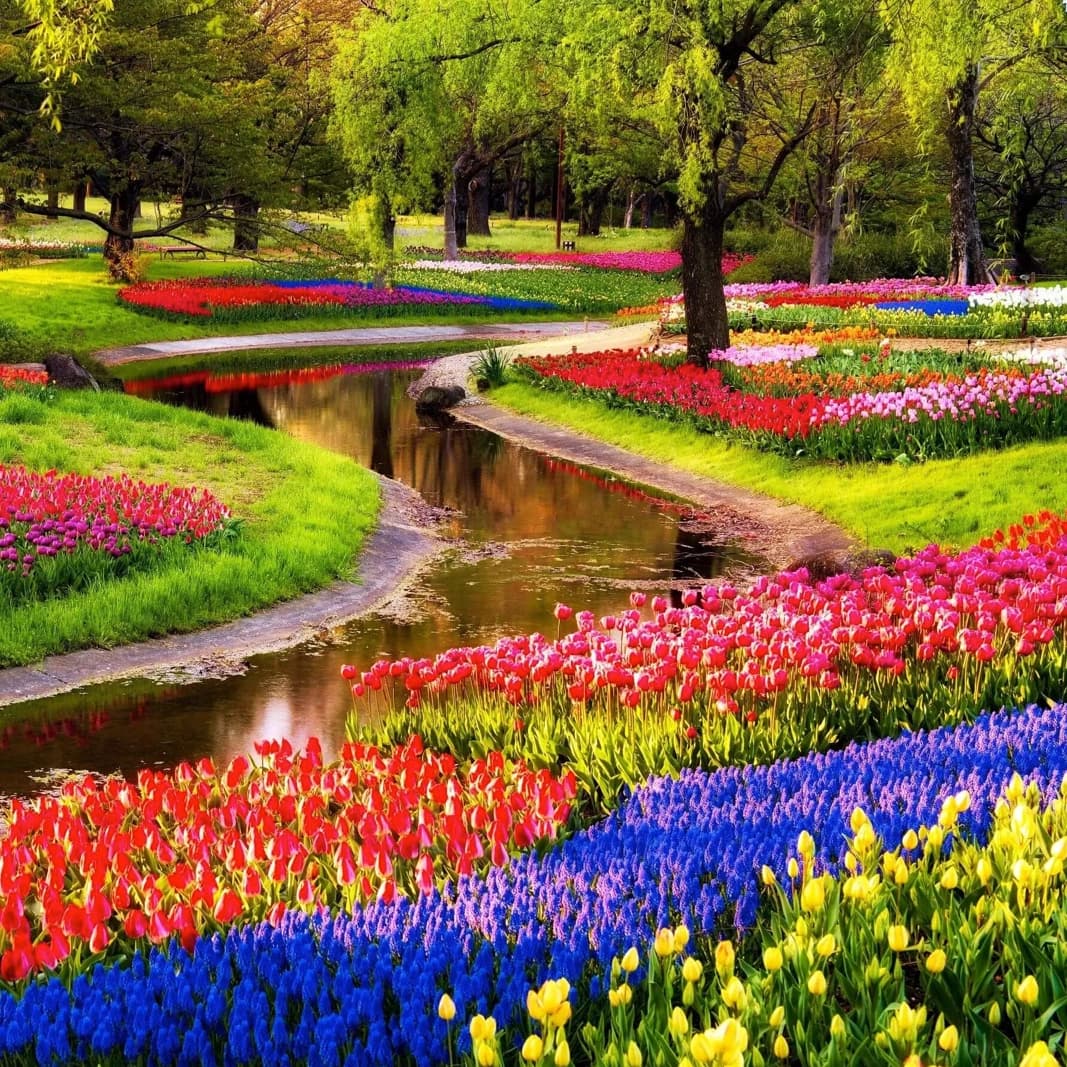 Keukenhof gardens in Lisse