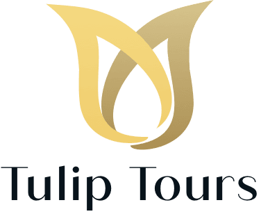 tulip tours png logo