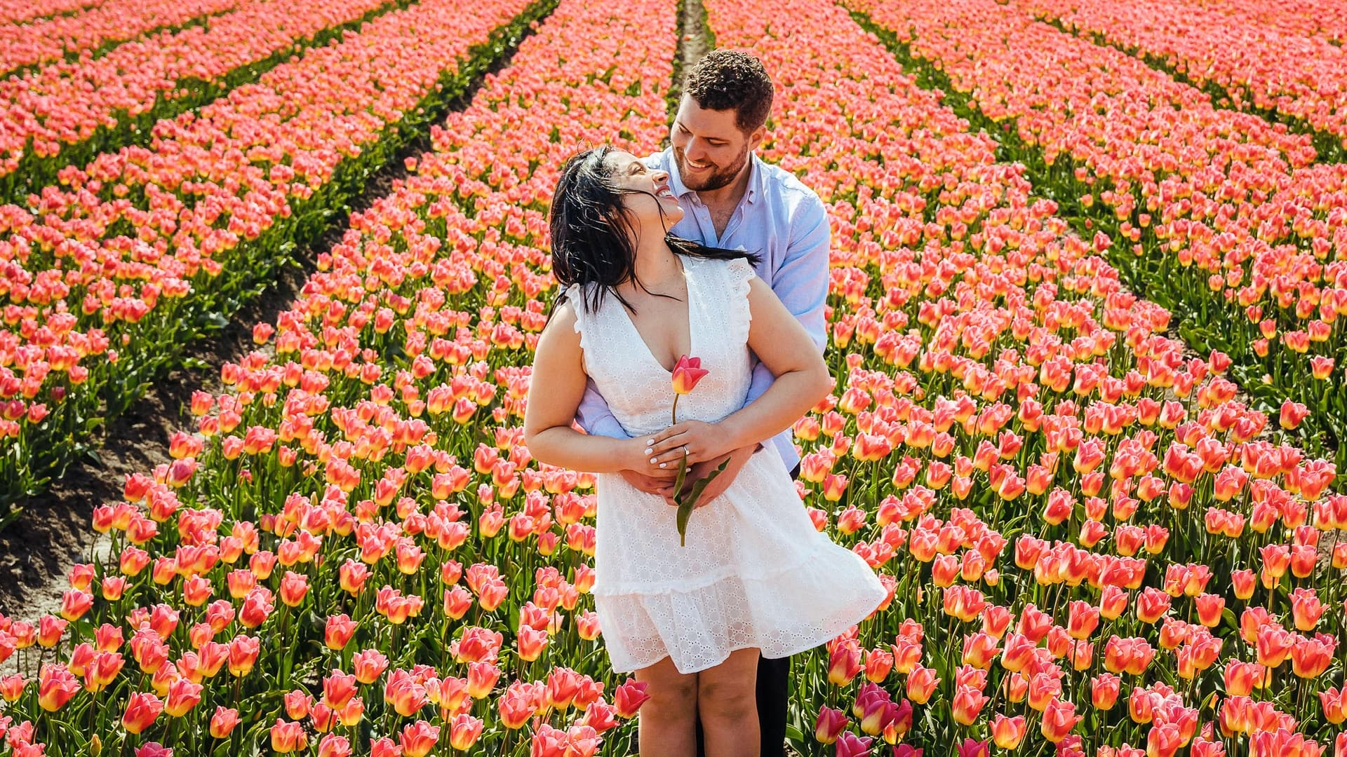 Discover the Netherlands with Tulip Tours Holland