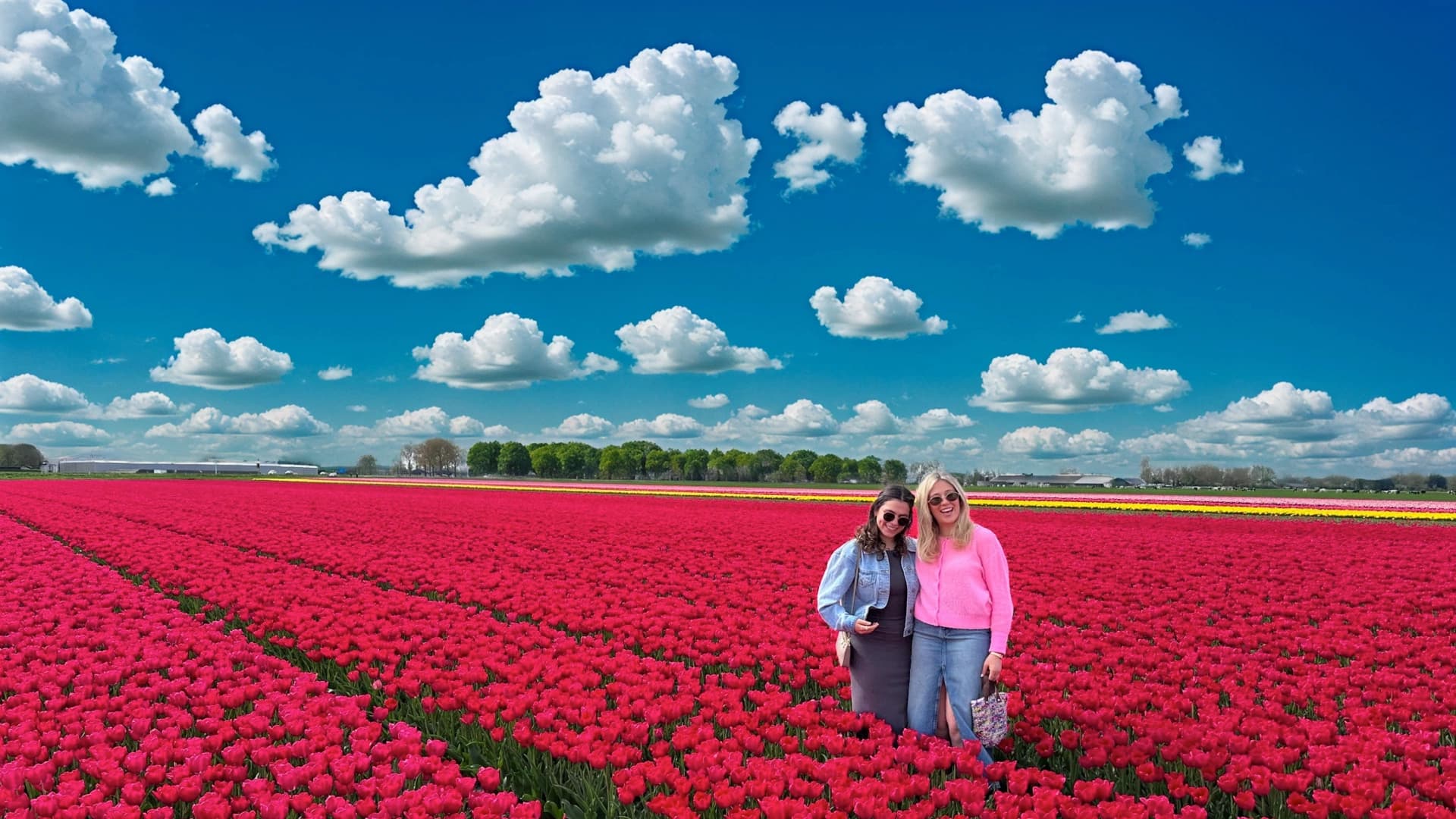 Discover the Netherlands with Tulip Tours Holland