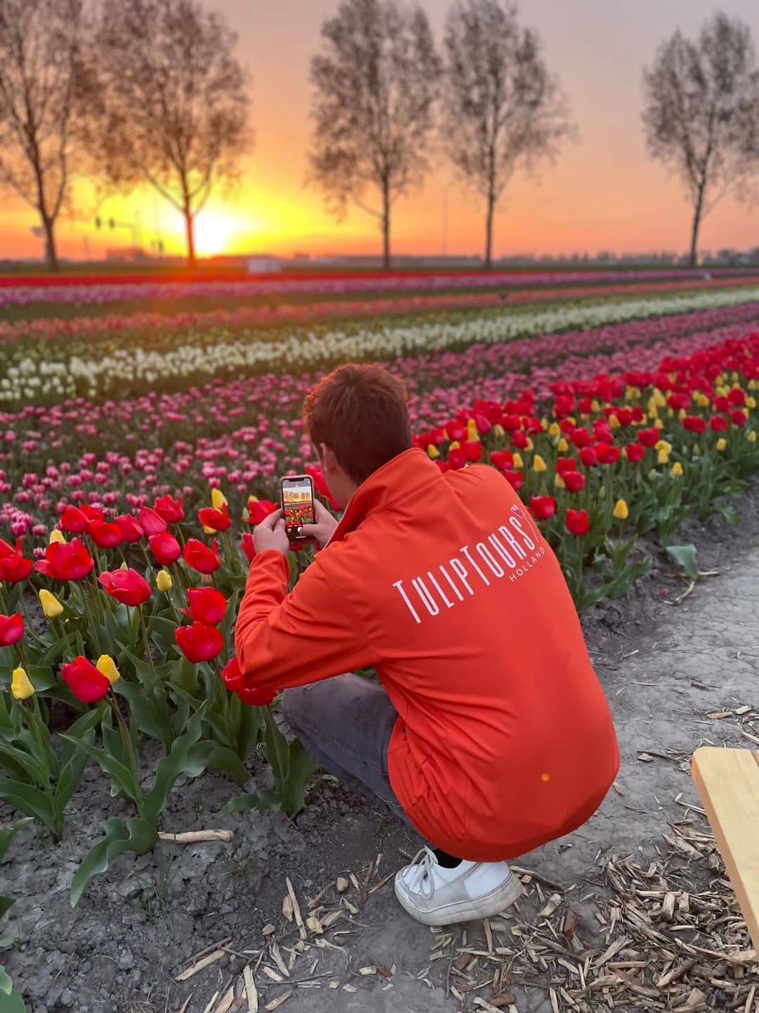 Tour guide taking a photo of tulips
