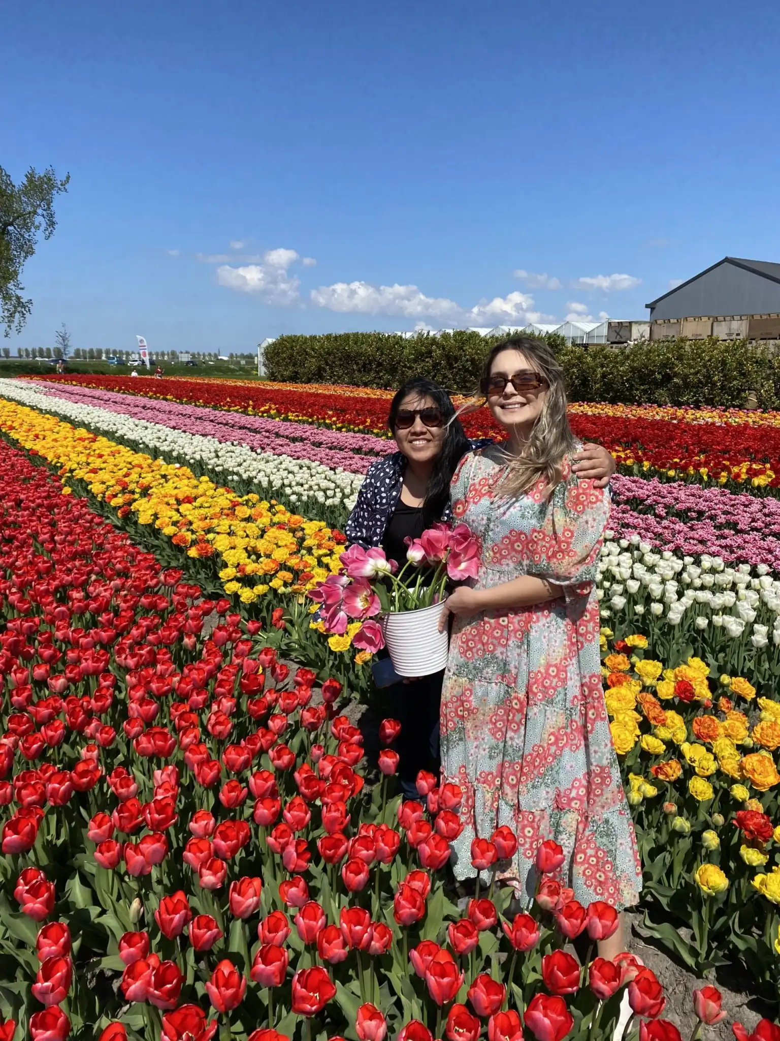 Two women in a tulip field